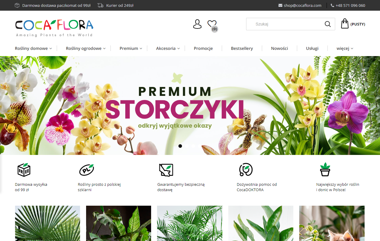 Najpiękniejsze kwiaty doniczkowe kwitnące przez cały rok - jakie wybrać?