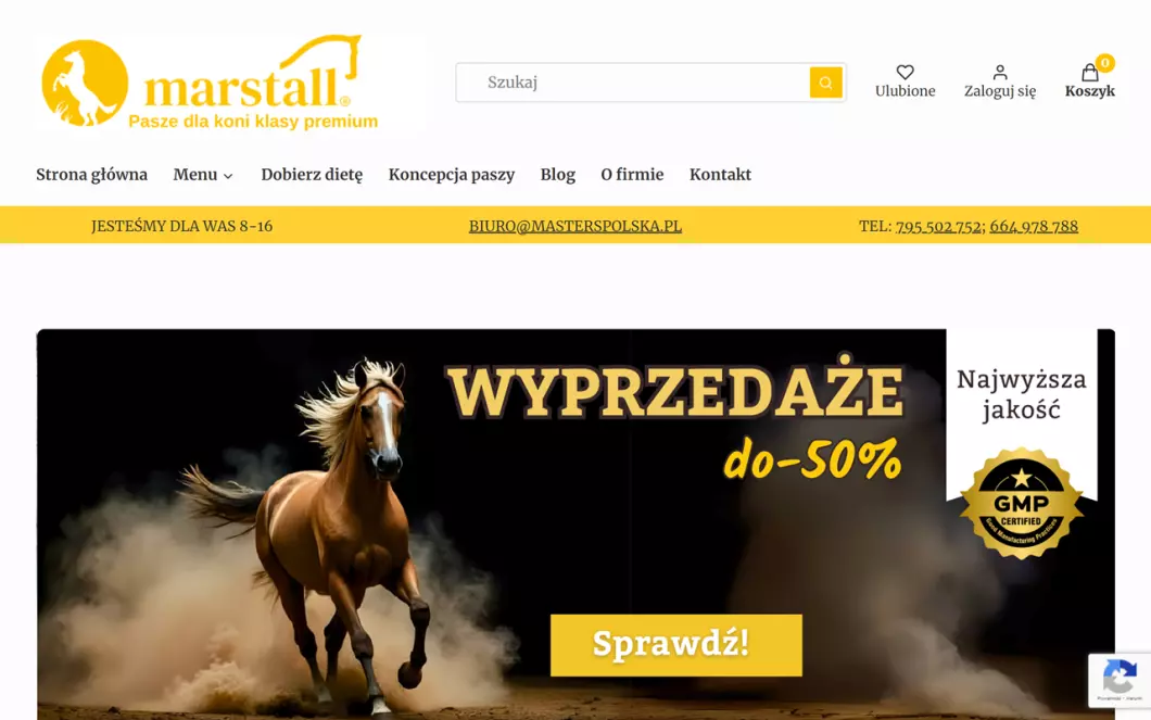 Zrzut ekranu strony